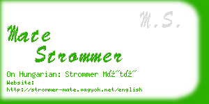 mate strommer business card